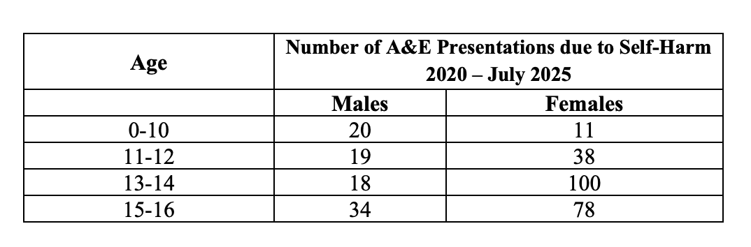 Over 300 Children & Teenagers Treated In Maltese Hospitals For Self-Harm Since 2020