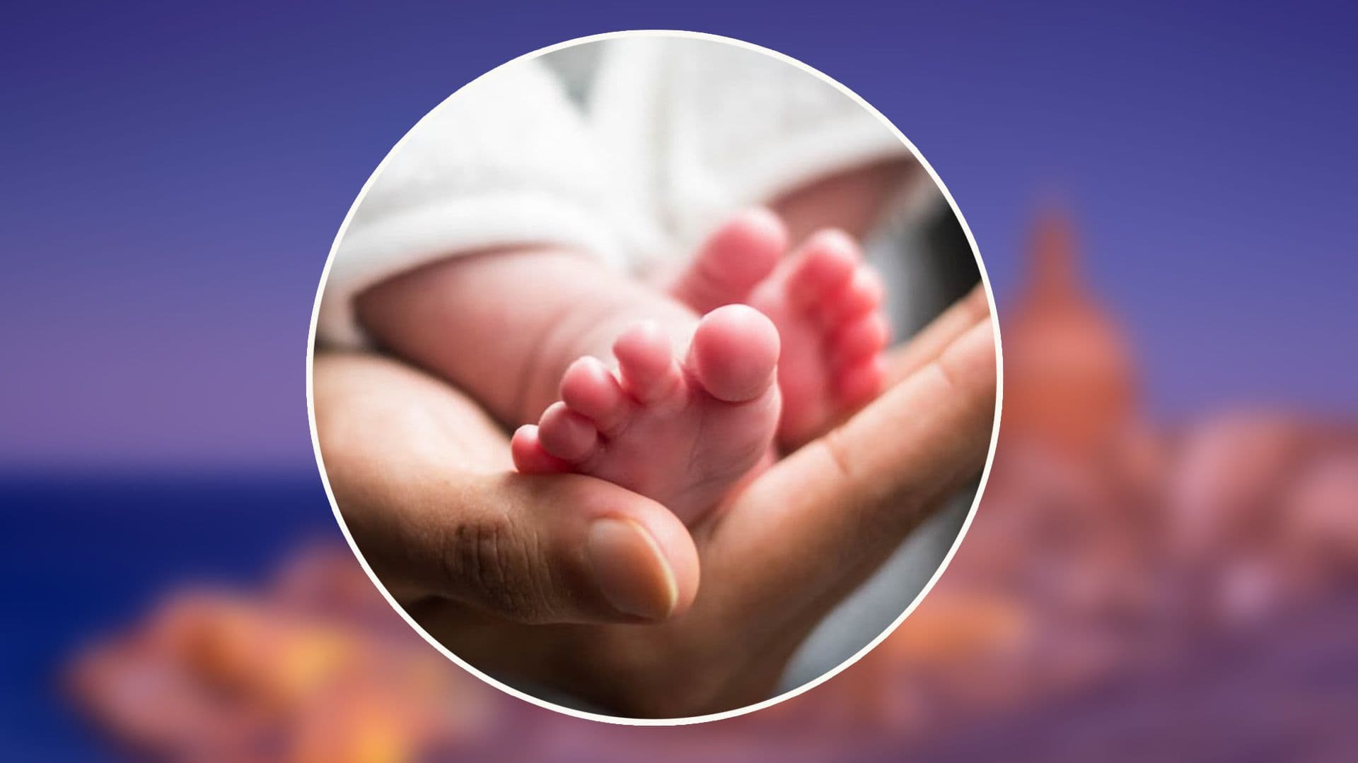Over 76,300 Birth, Marriage & Death Certificates Issued In Malta In 2025
