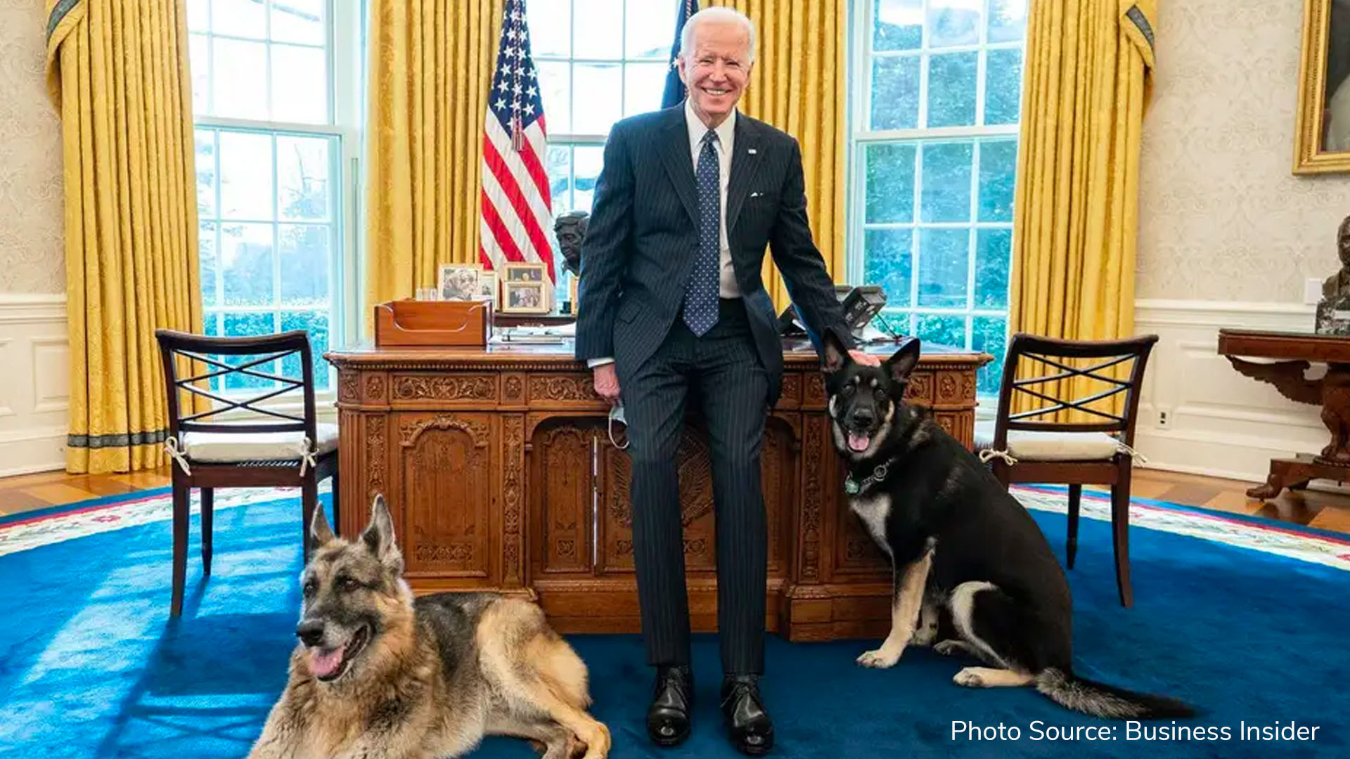 Bidens’ dog Major involved in another biting incident