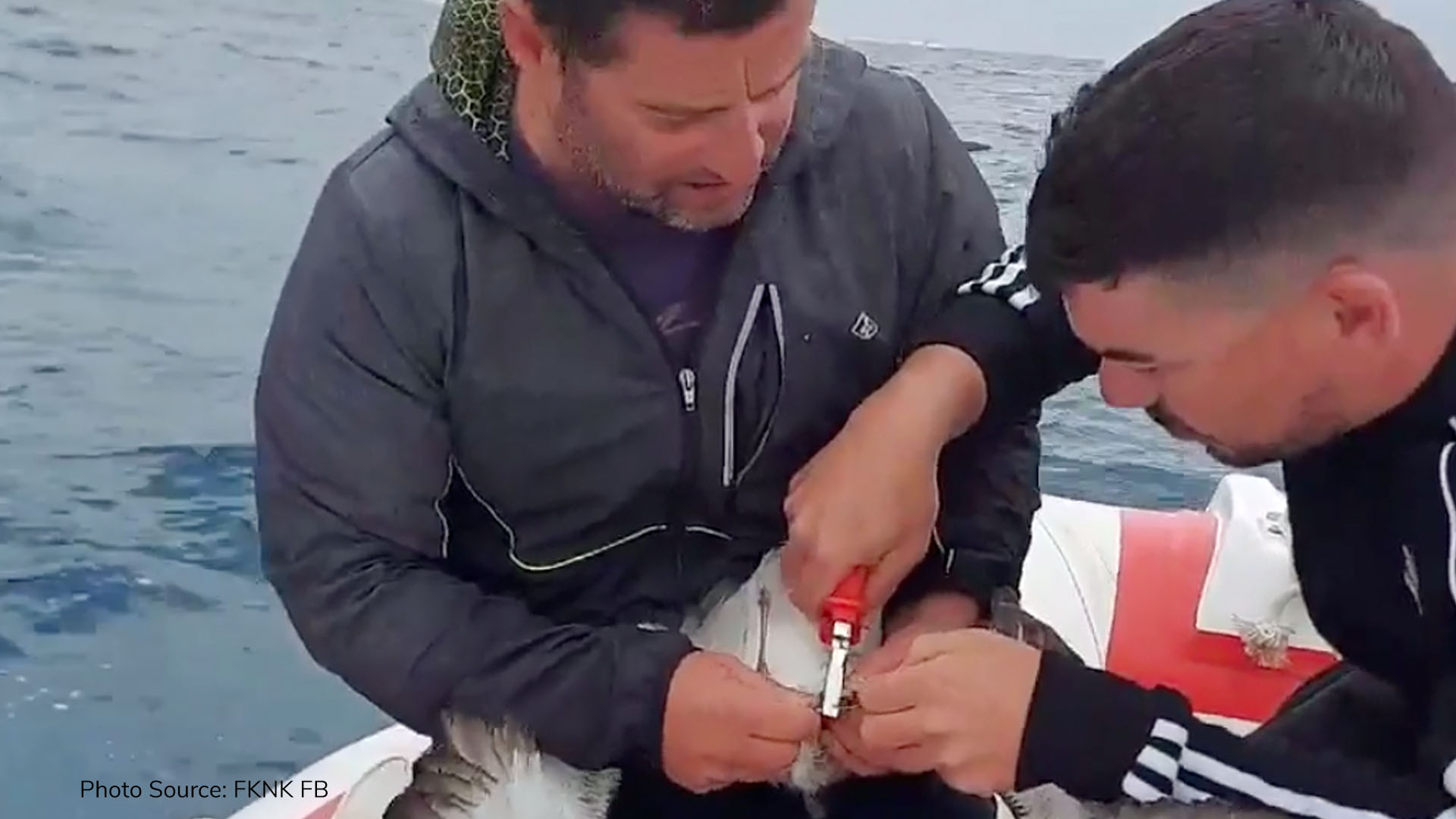 Hunters save birds trapped in fishing lines