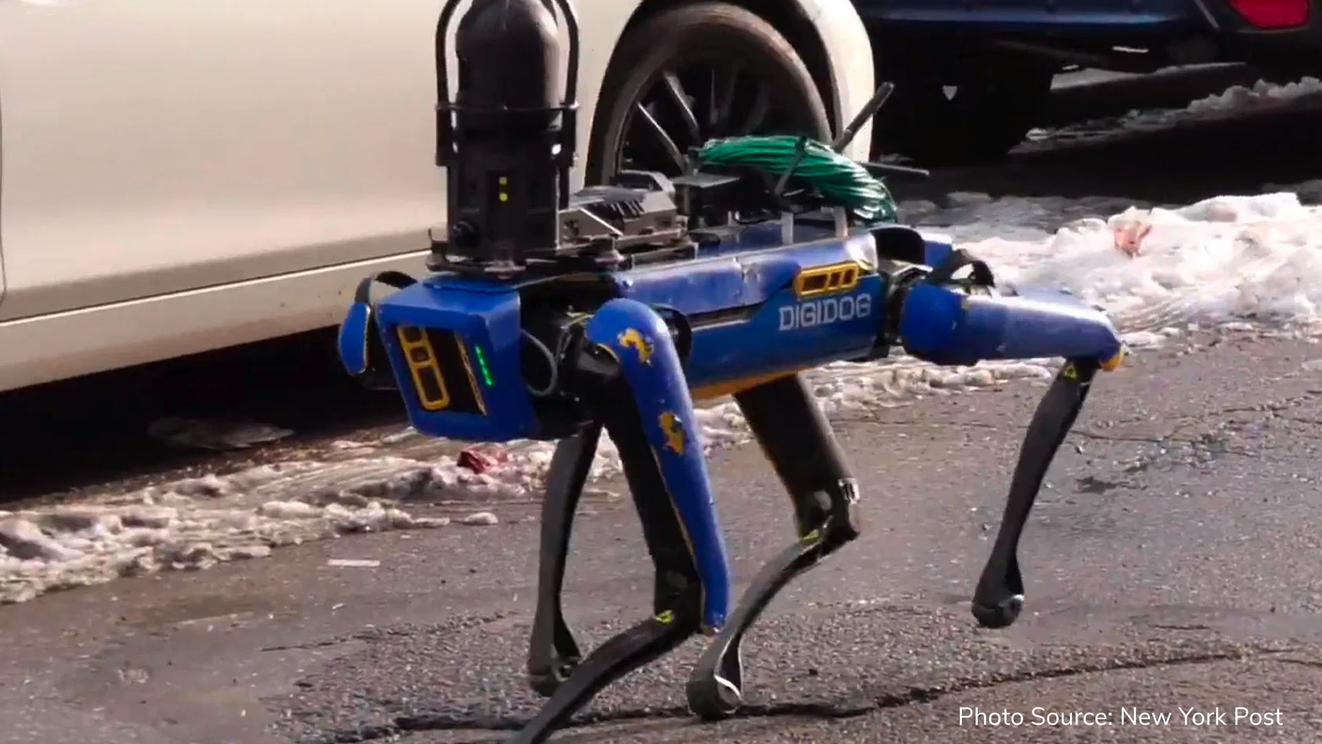 The future is now: NYPD robodog goes viral and freaks people out