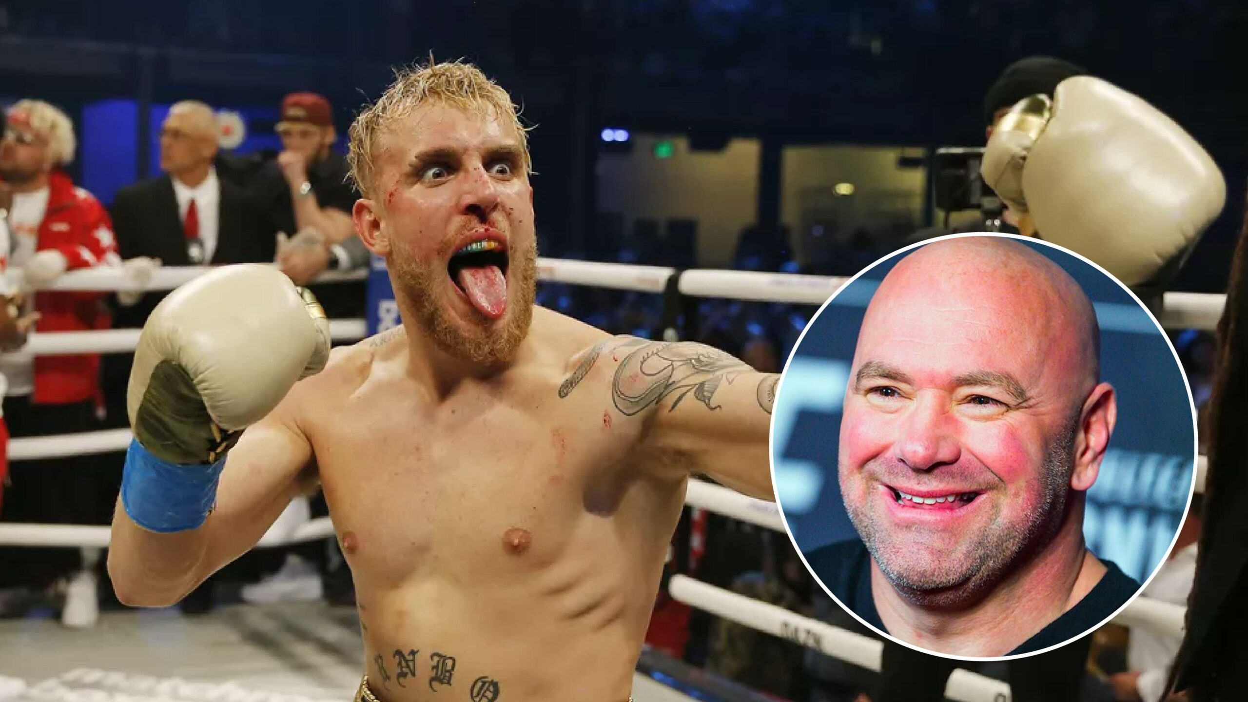 Dana White believes Jake Paul will get 'knocked out' in the near future