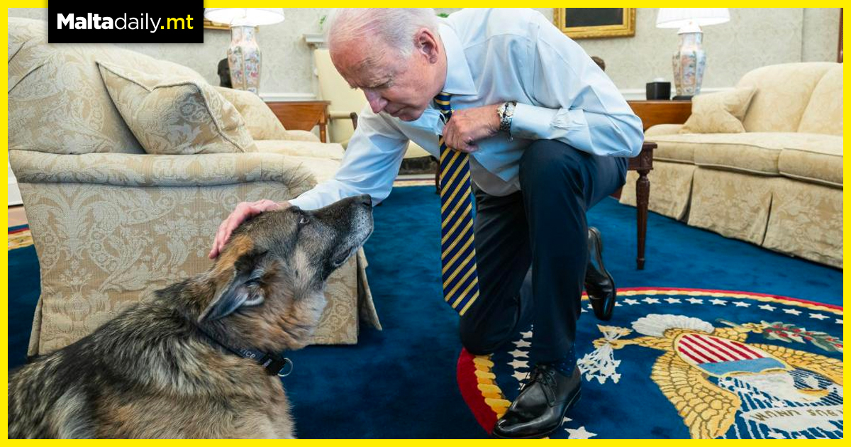 Joe Biden’s dog Champ passes away