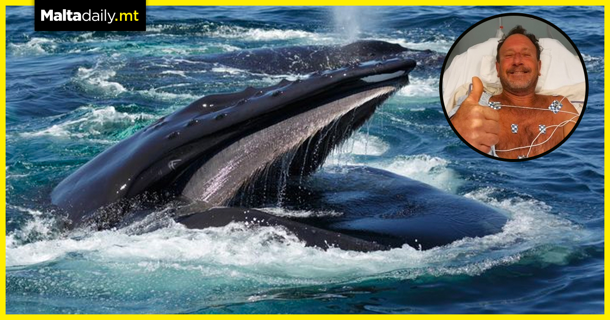 Fisherman survives ending up in humpback whale’s mouth