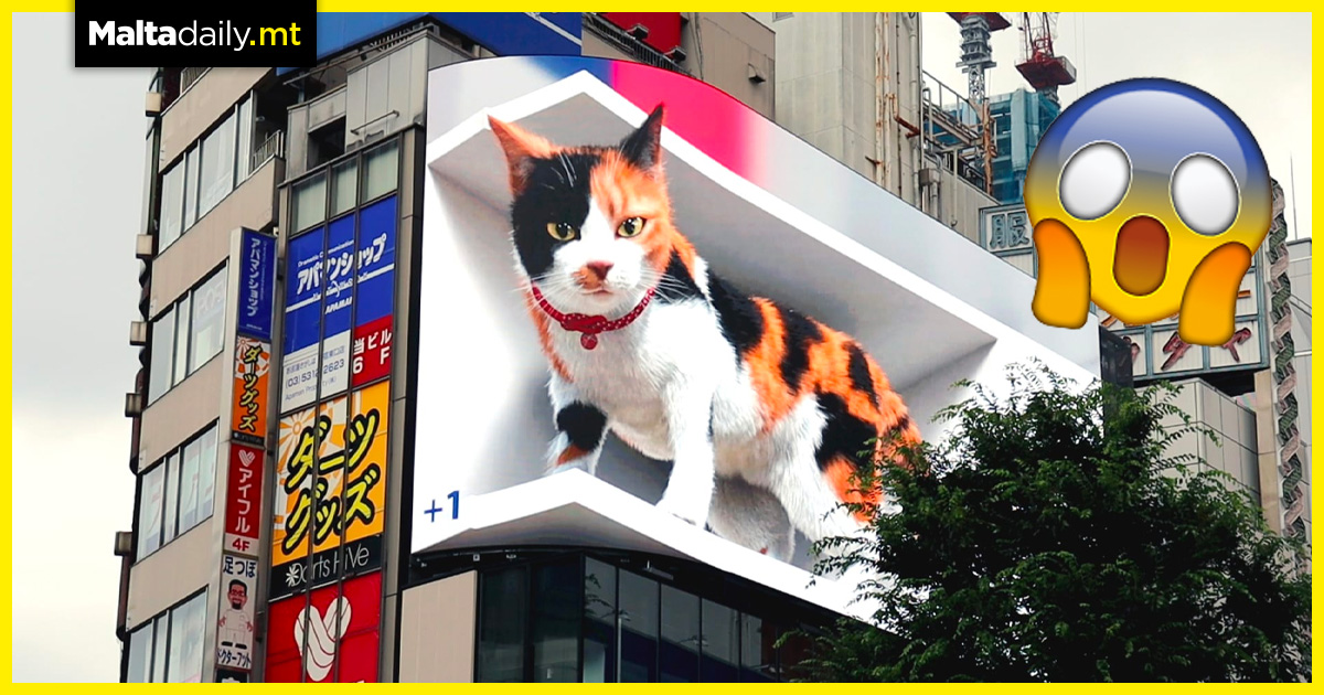 Giant 3D cat pops out of Tokyo’s biggest billboards
