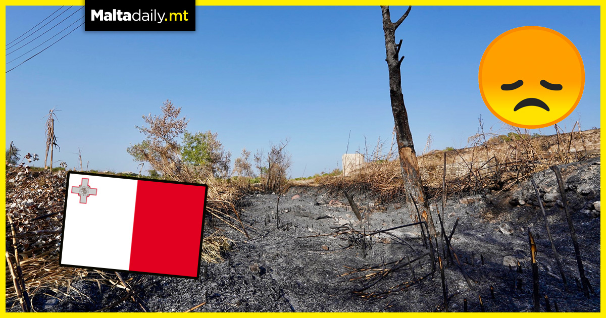 Malta has registered over 540 annual grassfires for the past 5 years