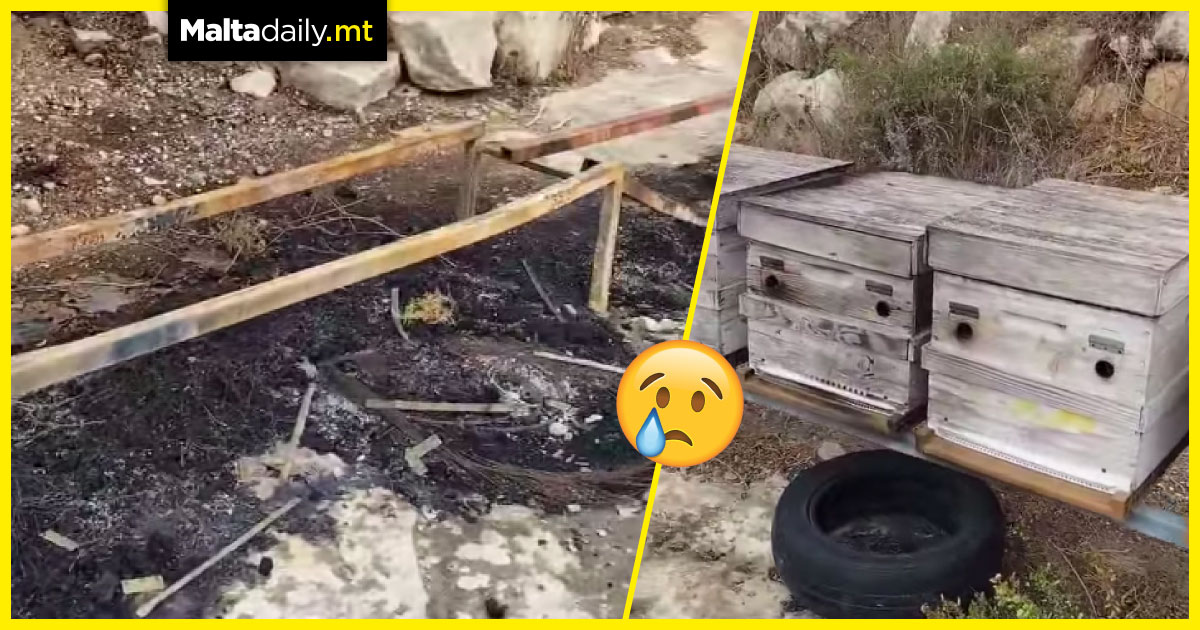 Around 1.5 million bees burned in suspected arson in Xewkija