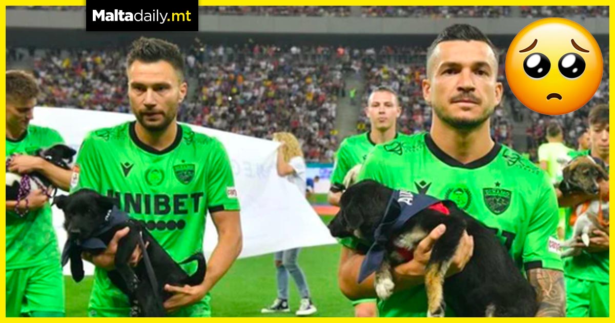 Romanian footballers take to pitch with rescue dogs asking for adoptions