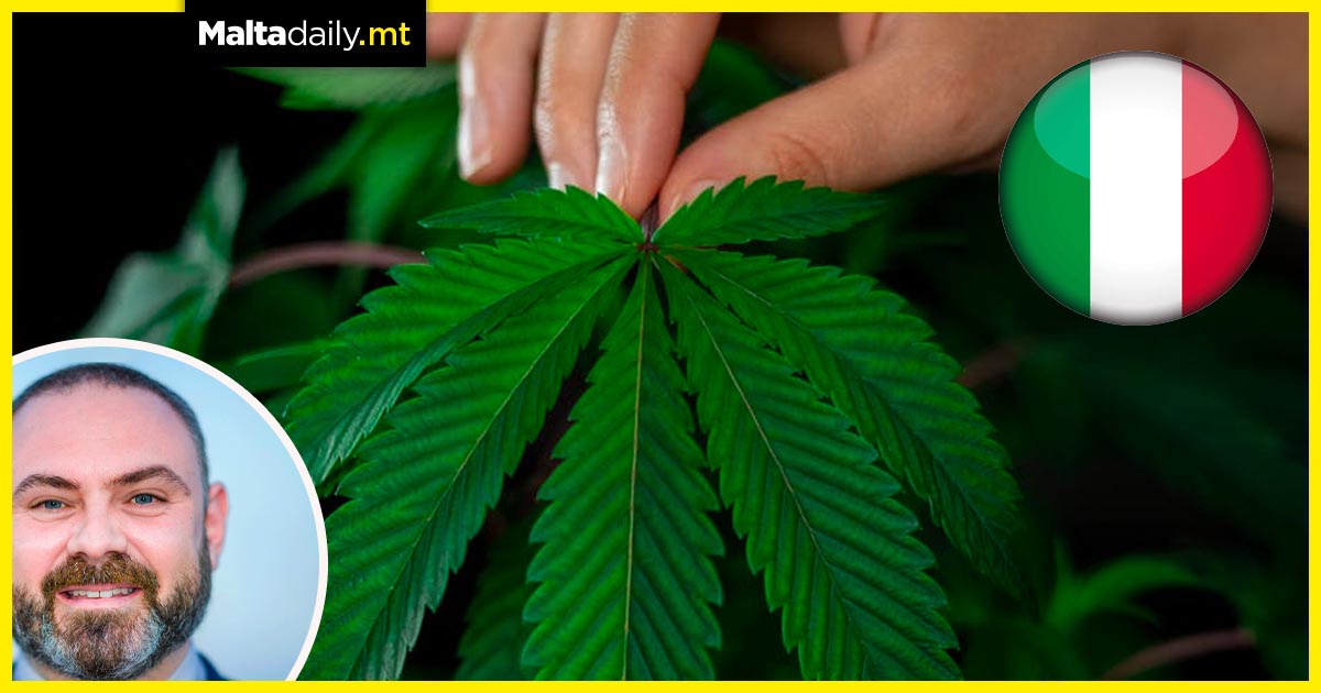 Italy to allow the cultivation of four cannabis plants at home