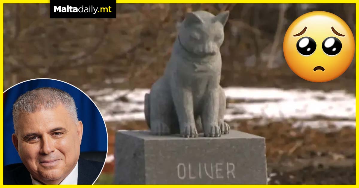 A pet cemetery could be ready for use by next year
