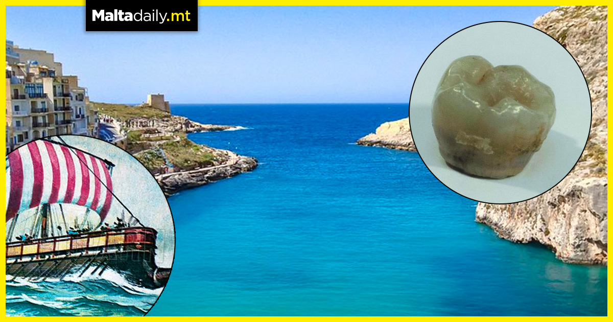 Human tooth found in Gozo shipwreck could have massive consequences