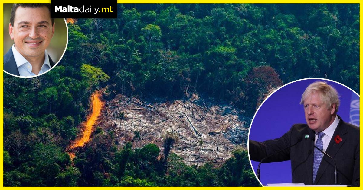 Malta and 99 other countries pledge to end deforestation by 2030