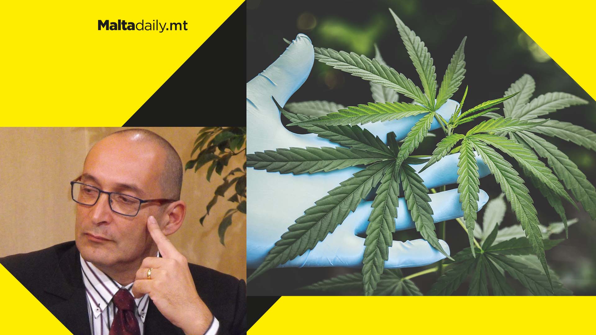 New political party ABBA pushes for referendum to have cannabis law revoked