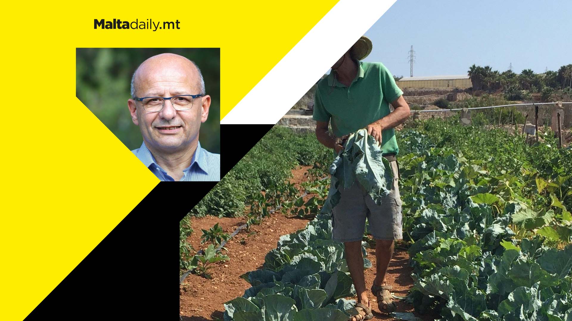 Interest free loans for farmers to buy leased land proposed by PN