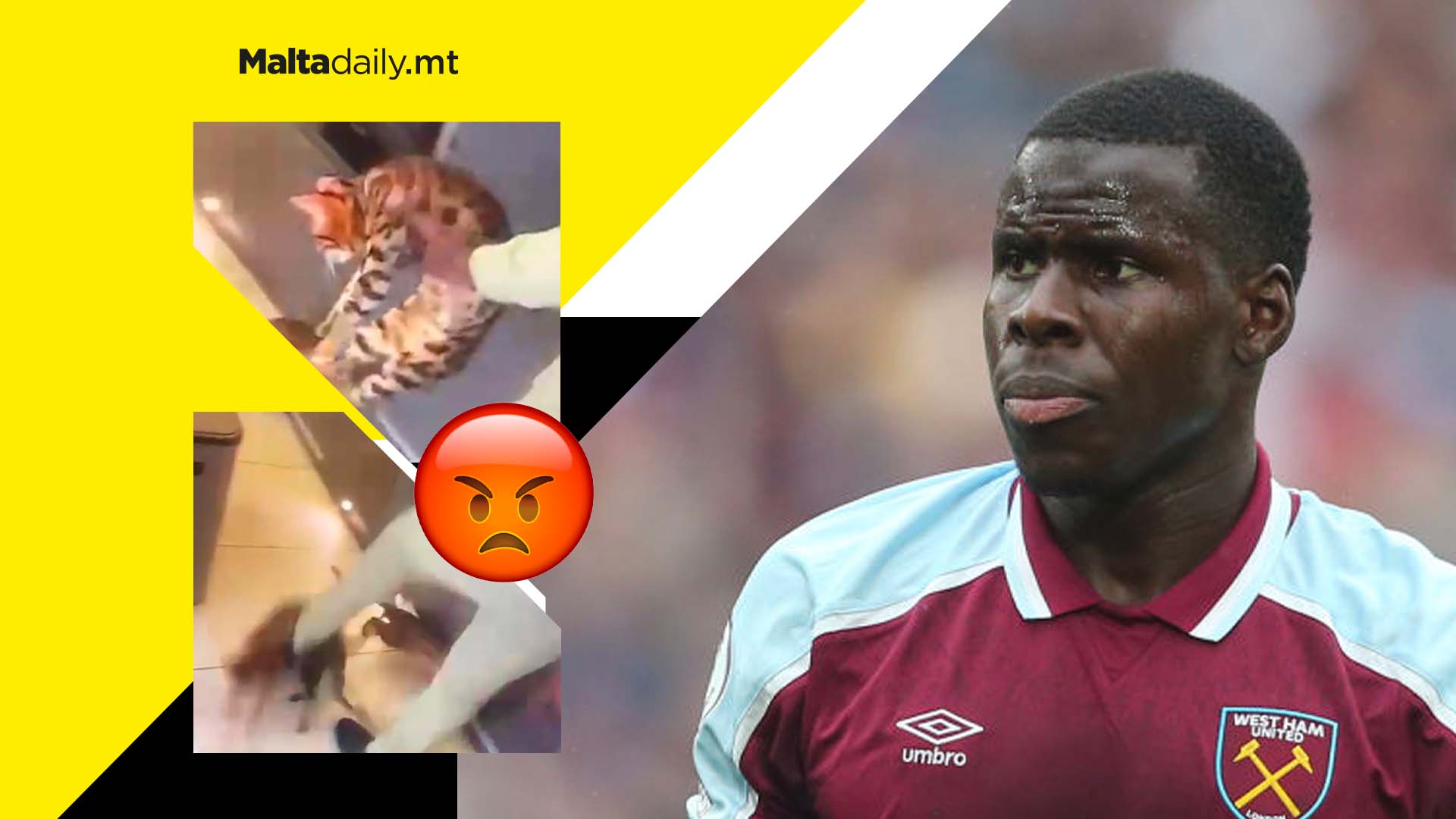 Cats taken away from Kurt Zouma after abuse video and fined £250K