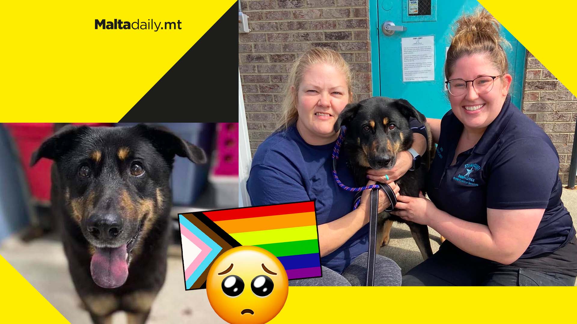 Dog abandoned because owner thought he was gay adopted by gay couple