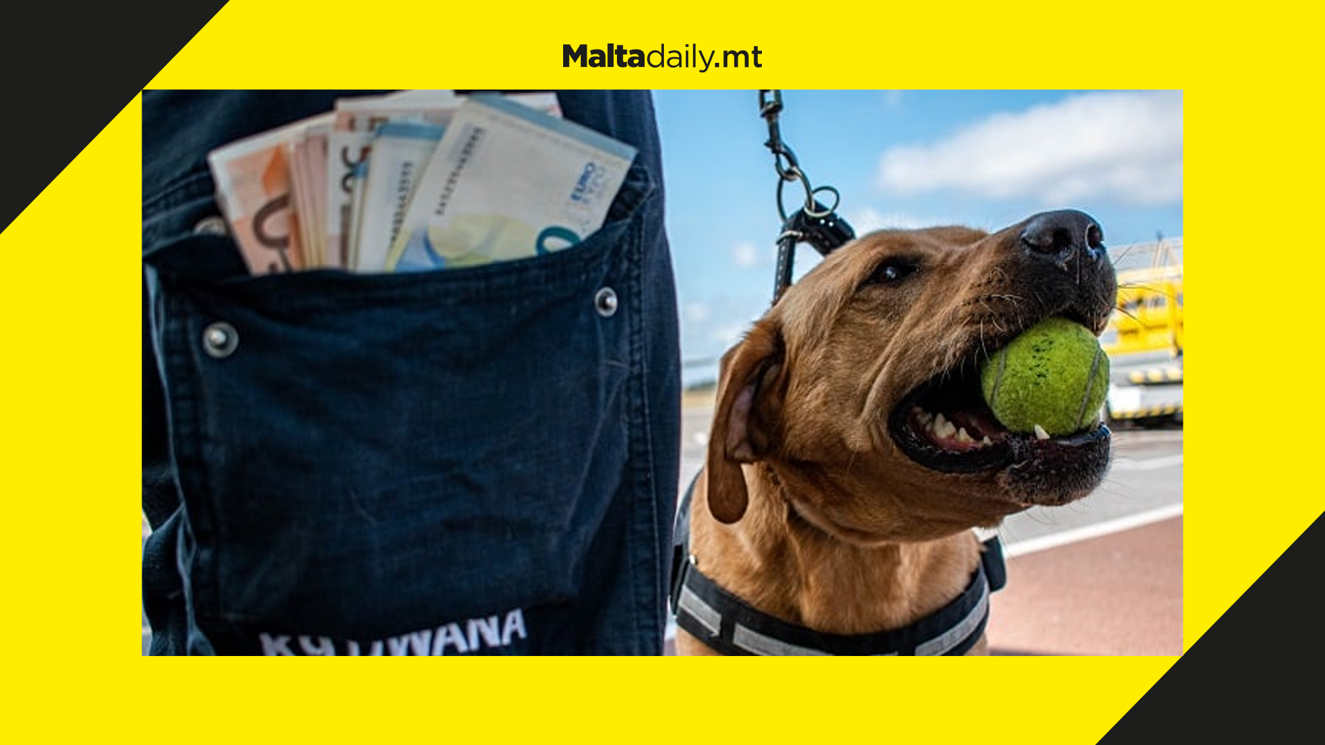Customs canines sniff out €31,410 in undeclared cash