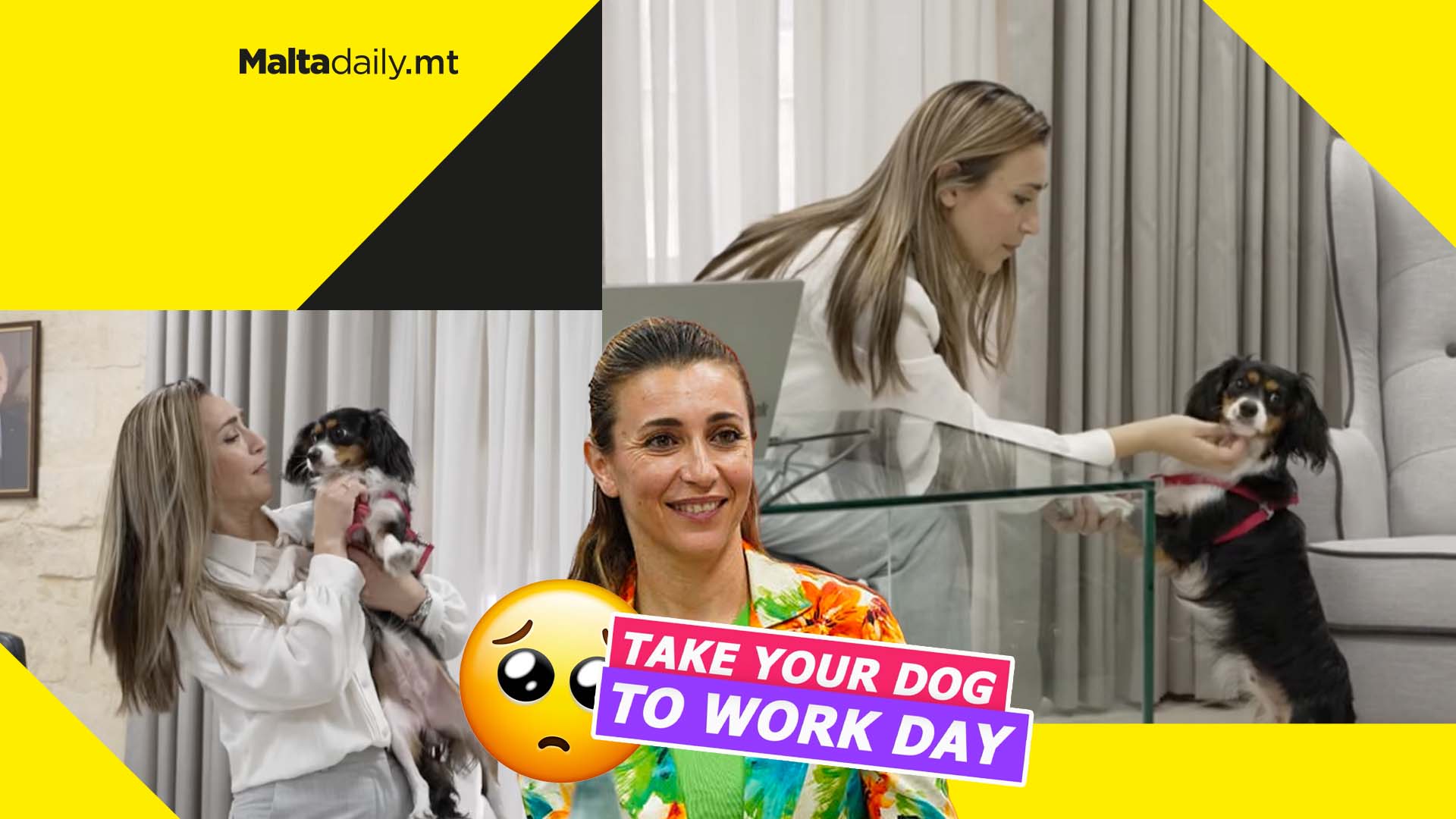 Alison Zerafa Civelli celebrates ‘Take Your Dog to Work Day’ with co-workers