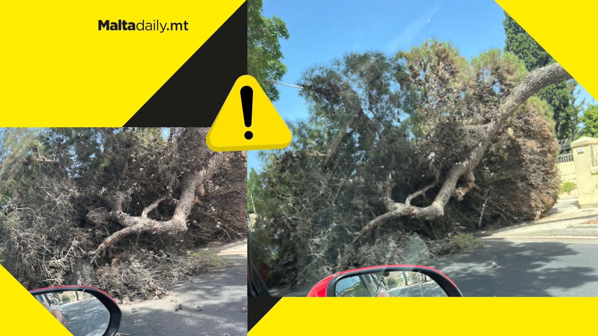 Traffic in Attard as tree collapses in Triq in-Nutar Zarb