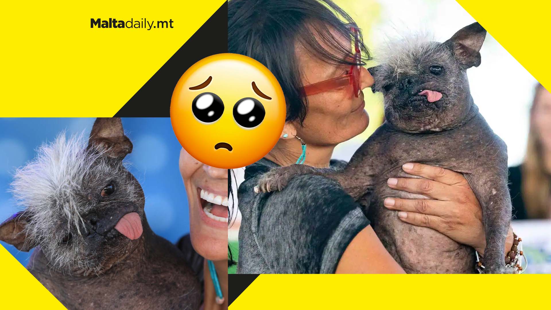‘Mr. Happy Face’ officially wins the ‘Ugliest Dog Contest’ 2022 edition