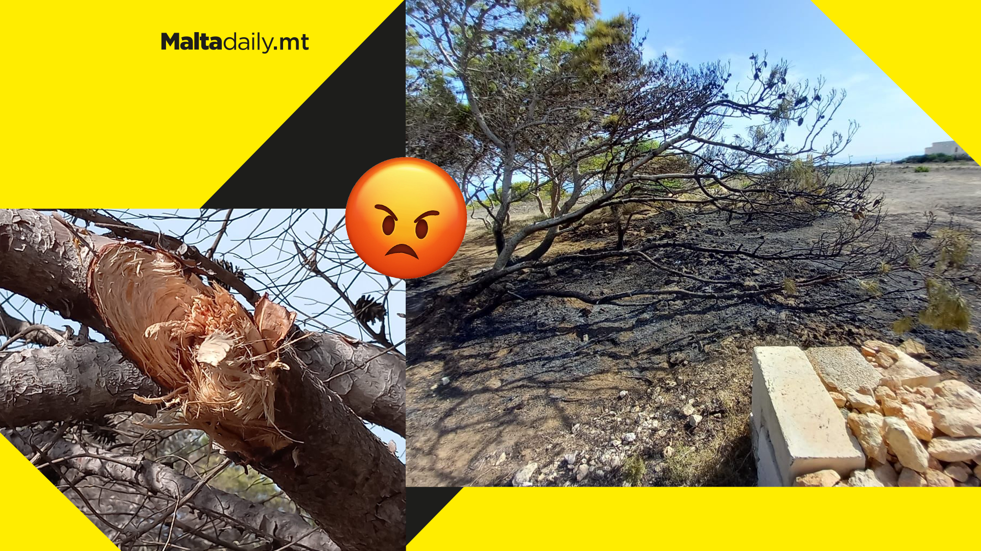 Burned and vandalised trees in Ahrax Nature Reserve spark outrage