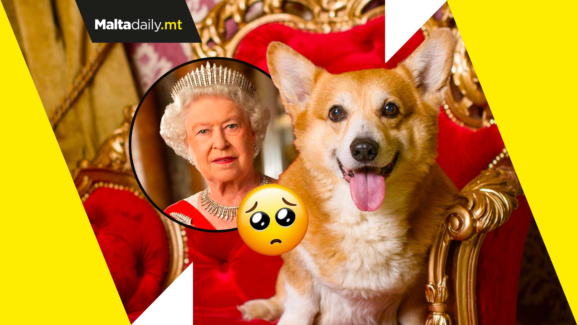 What about the Corgis? What will happen to the Queen’s dogs?