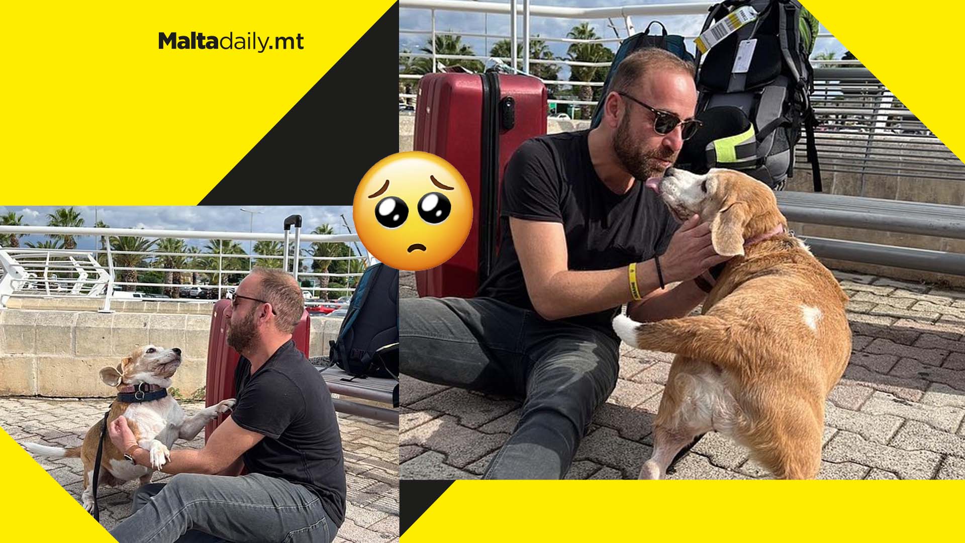 Wholesome moment dog welcomes owner after 2 months abroad
