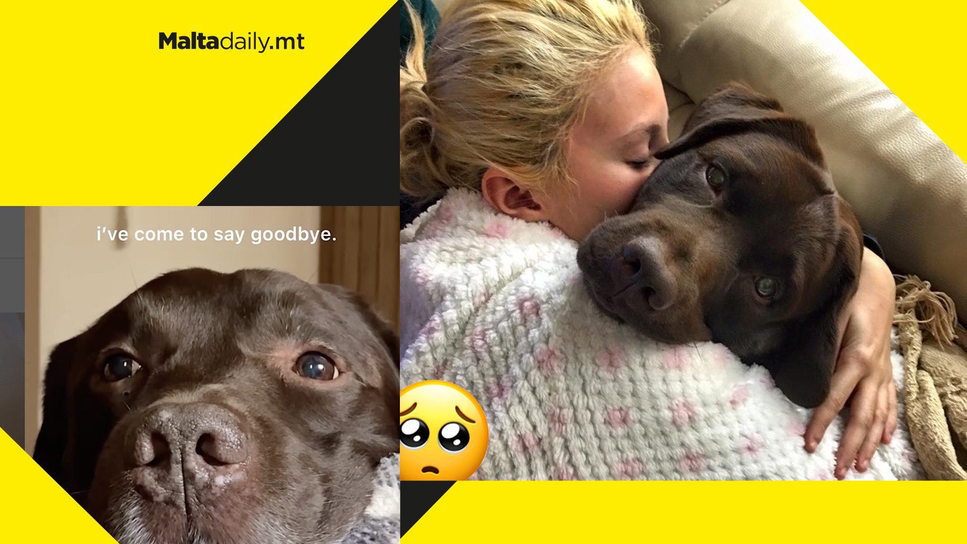 "Goodbye best friend": Sarah Zerafa posts heartbreaking tribute following death of dog Choco