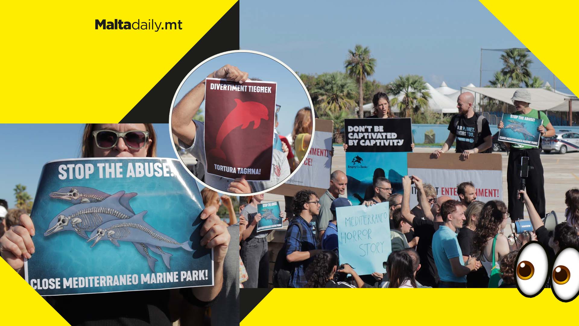 Close ‘Mediterraneo Cruelty Park’ say NGOs as protests continue