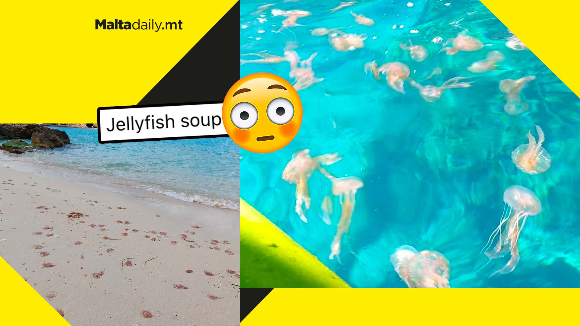 Jellyfish Soup: early mass bloom for stingers around Malta