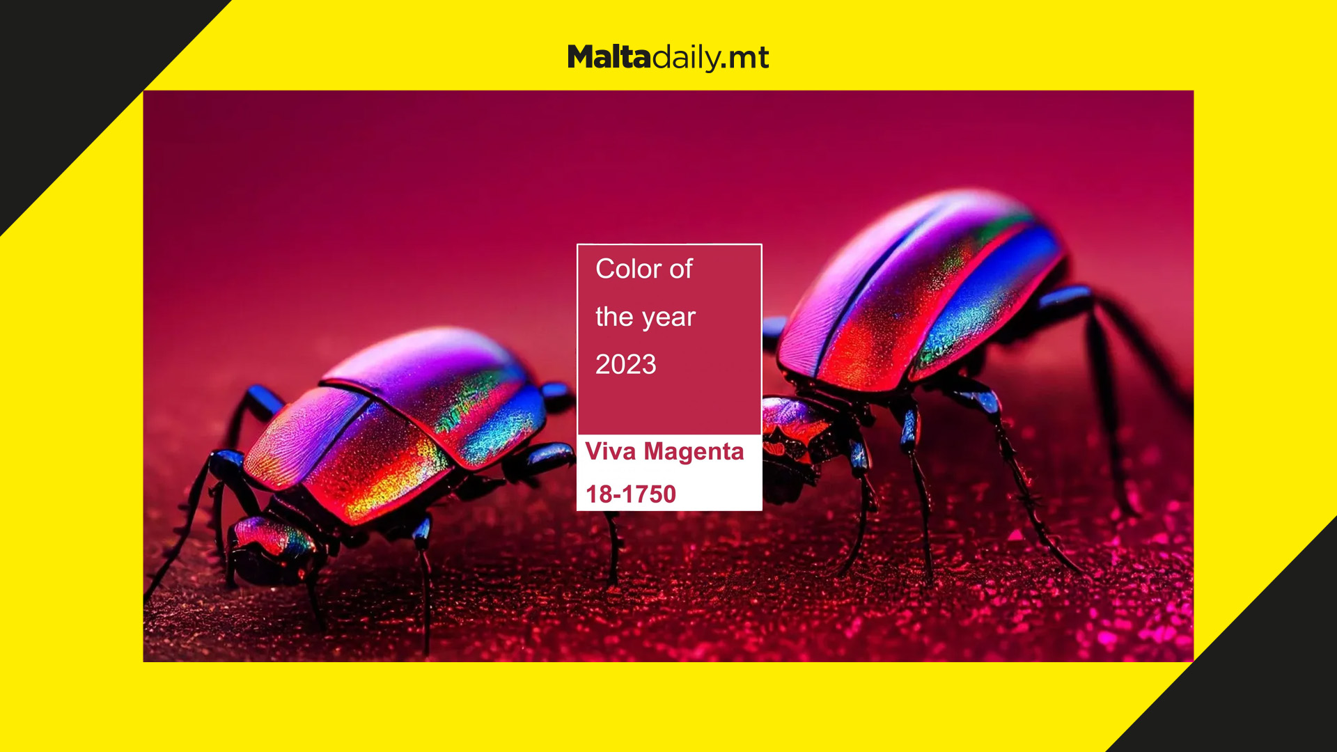 Pantone's 2023 colour of the year 'Viva Mangenta' is all about optimism & technology