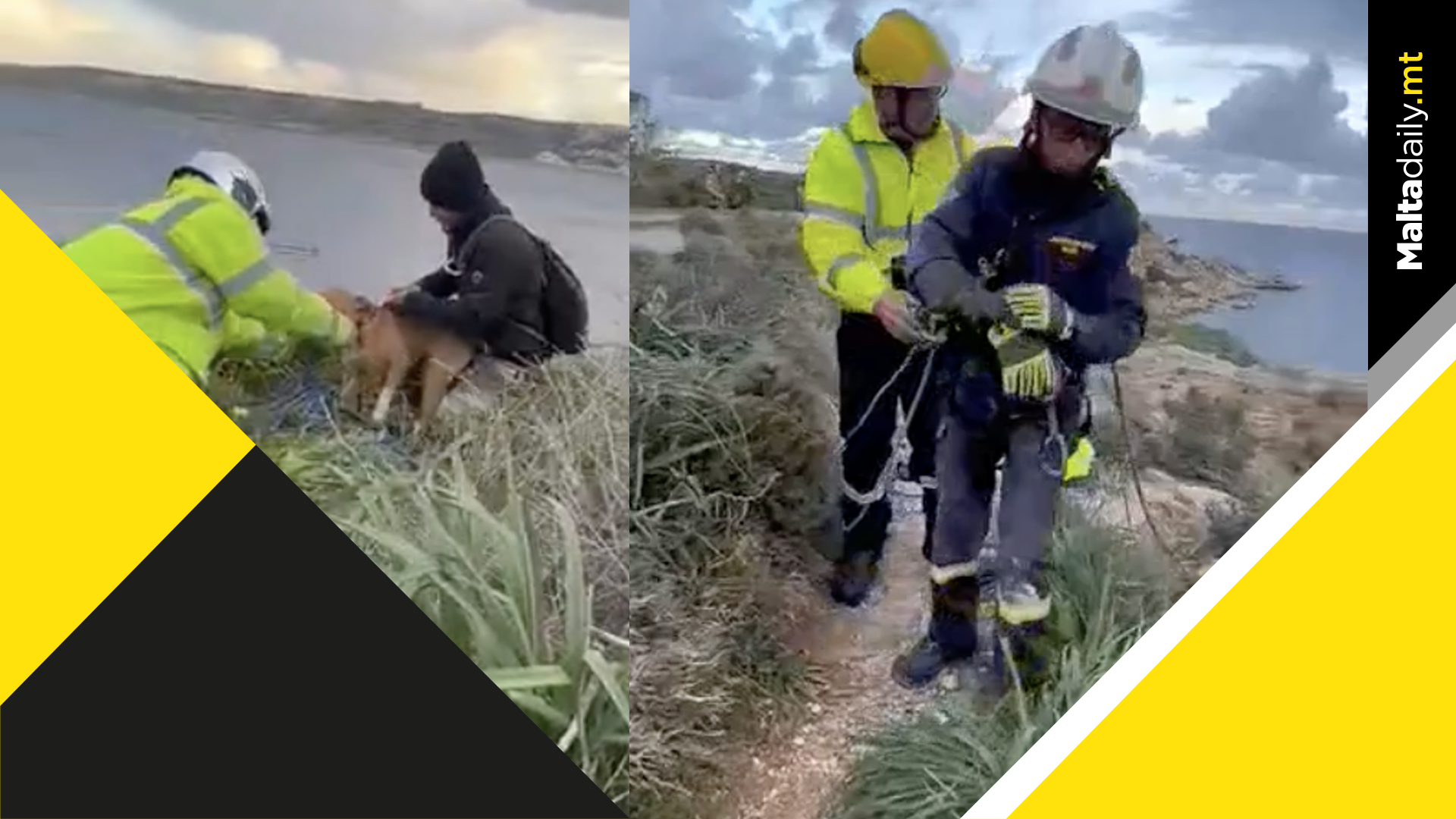 Dog saved after falling into a crevice in Aħrax