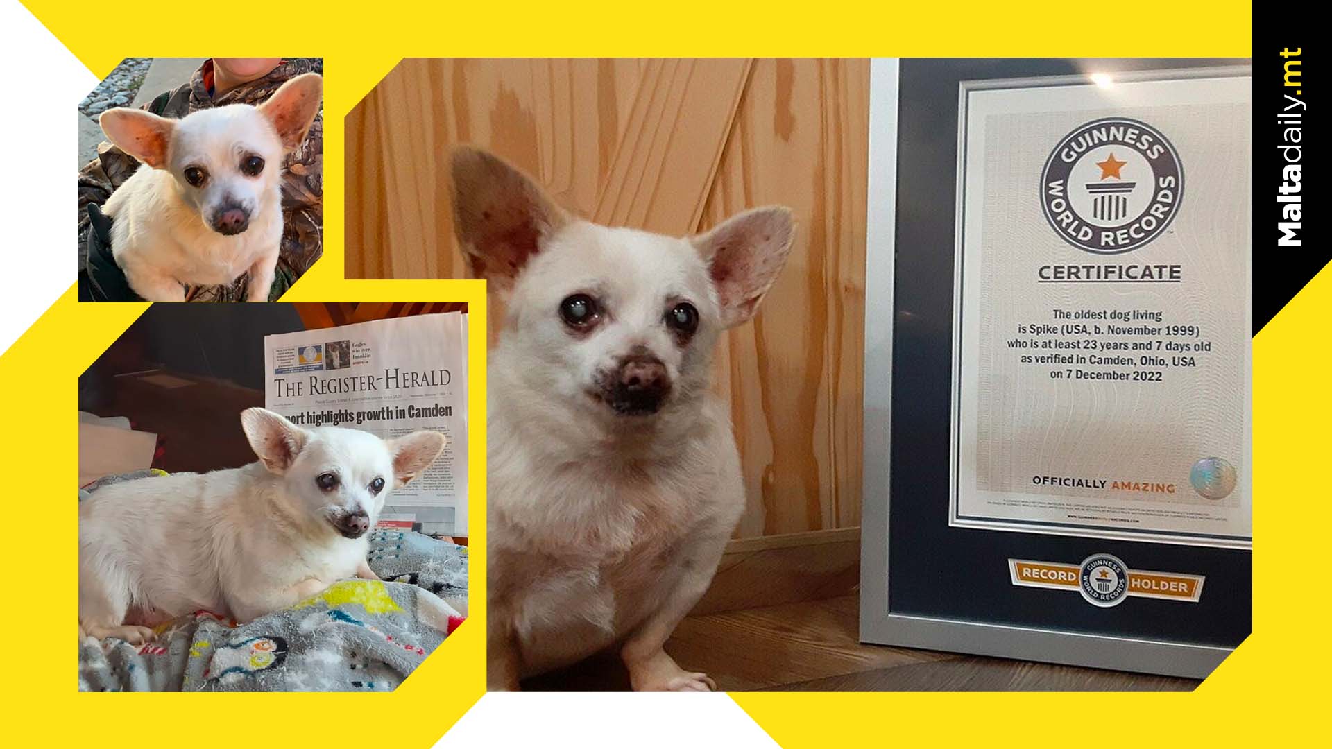 Spike is officially the world’s oldest living dog at 23