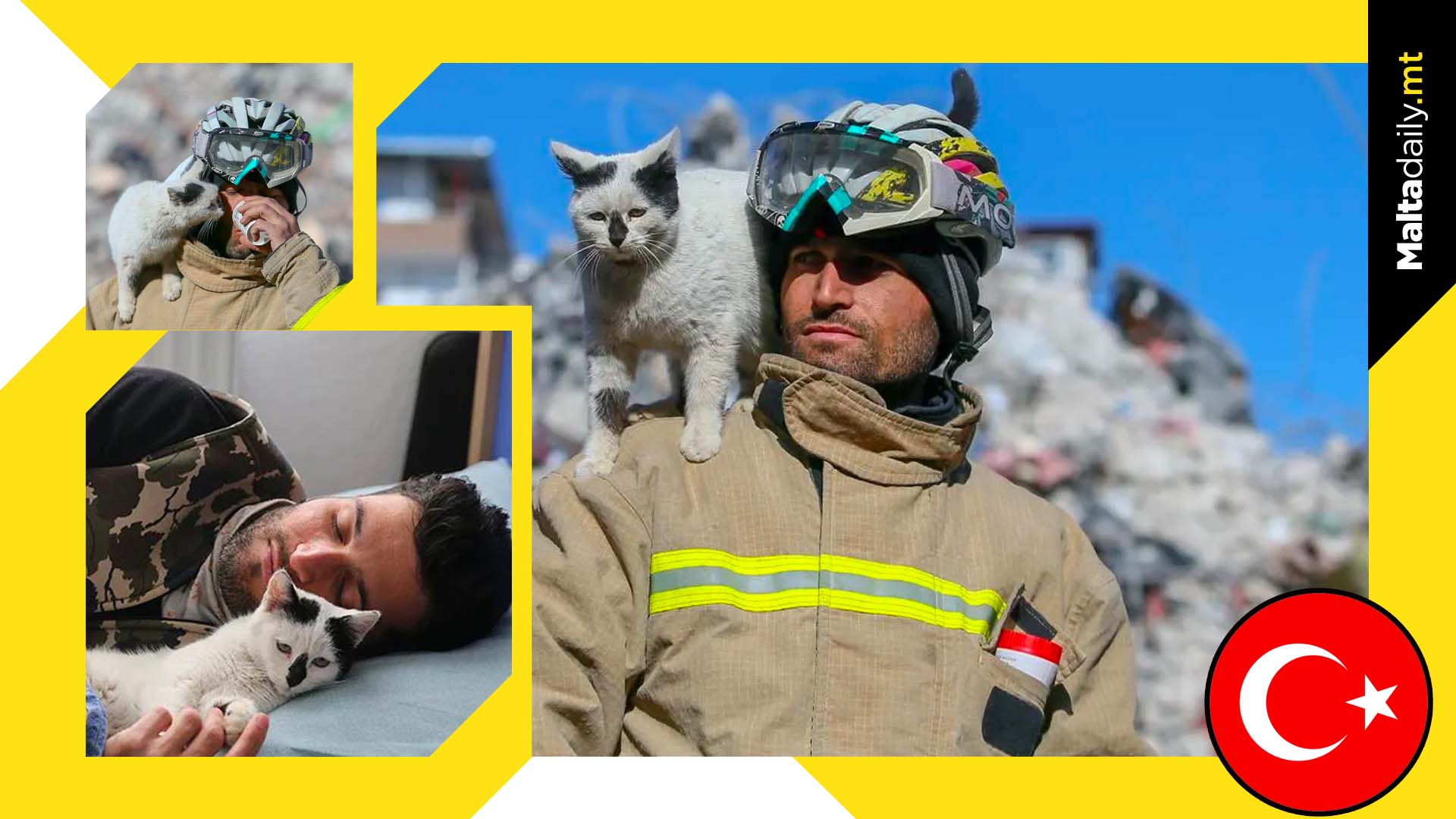 Cat refuses to leave rescuer's side after Turkey earthquake