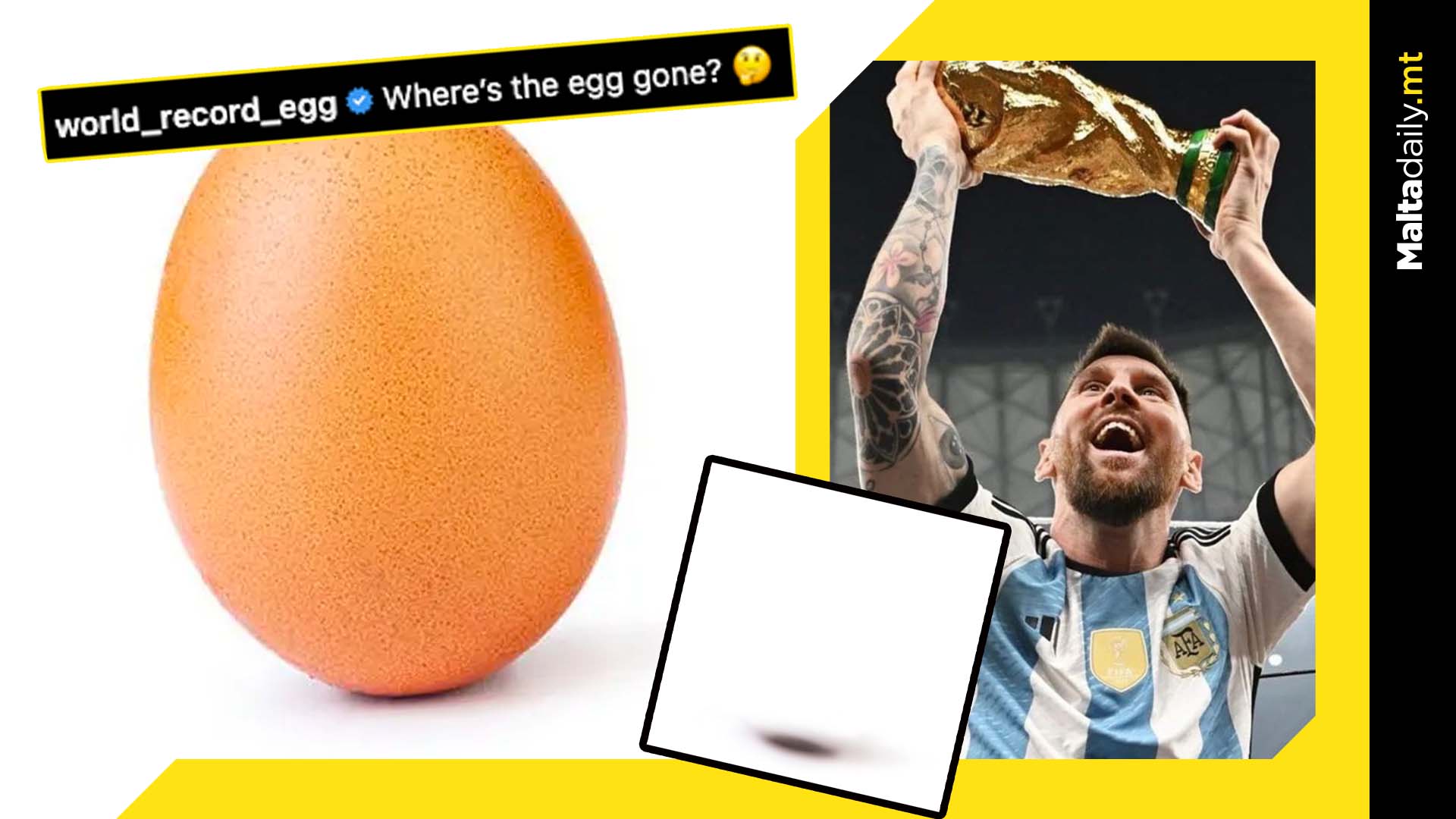 World record egg photo replaced by blank shadow image