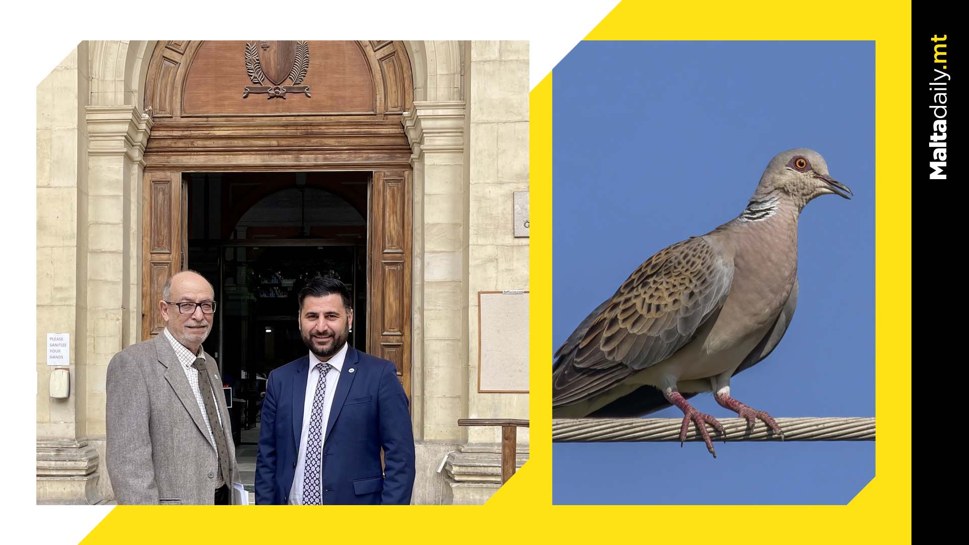 FKNK appeals BirdLife Malta’s injunction on turtle dove spring hunt