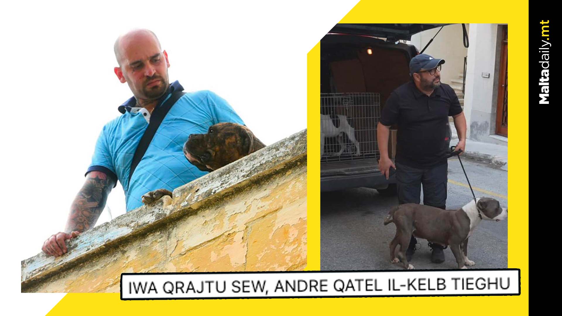 Galea killed one of the attack dogs himself, activist alleges