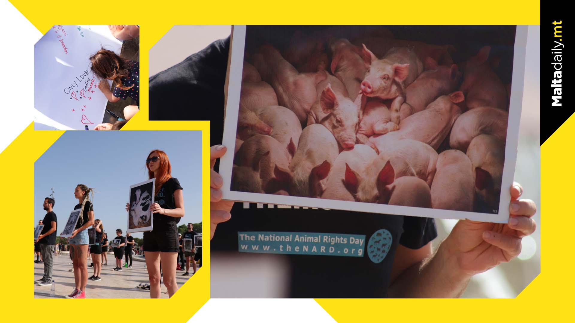 Maltese activists to join 150 cities for Animal Rights Day Protest