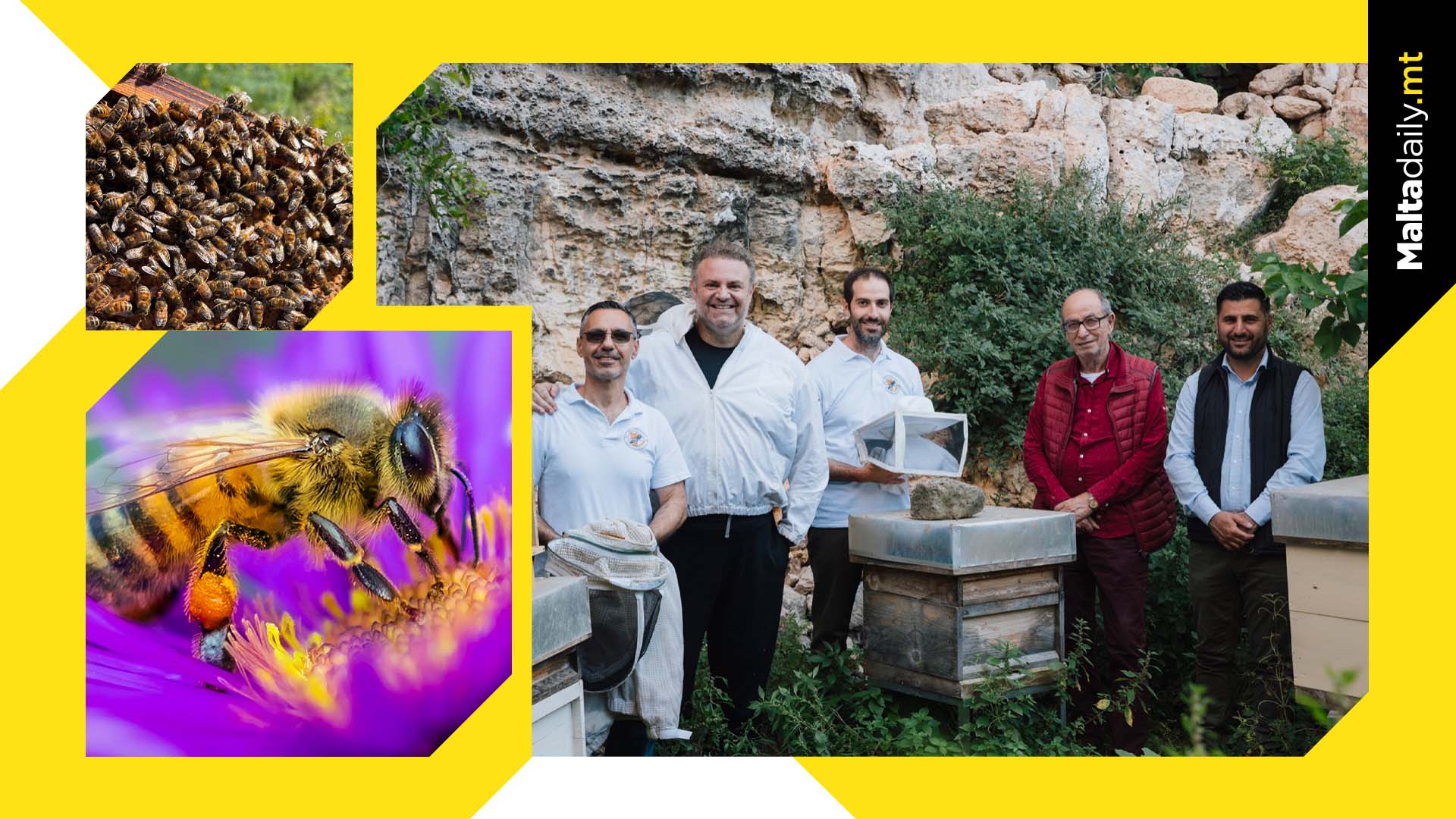 It's International Bee Day: Here are 3 facts about bees