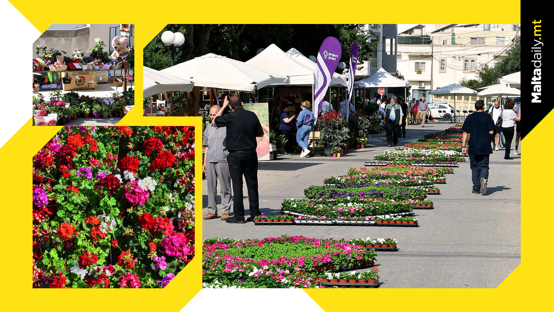 10,000 colourful flowers adorn Iklin for Festa Fjuri