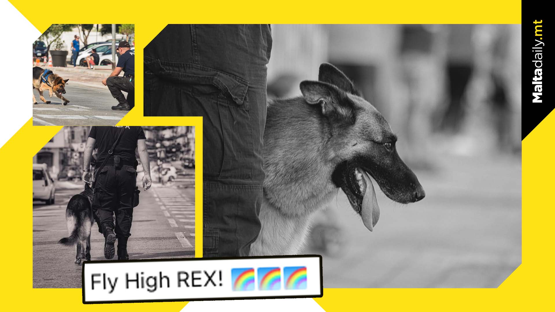 Touching tribute for police dog Rex as he passes away
