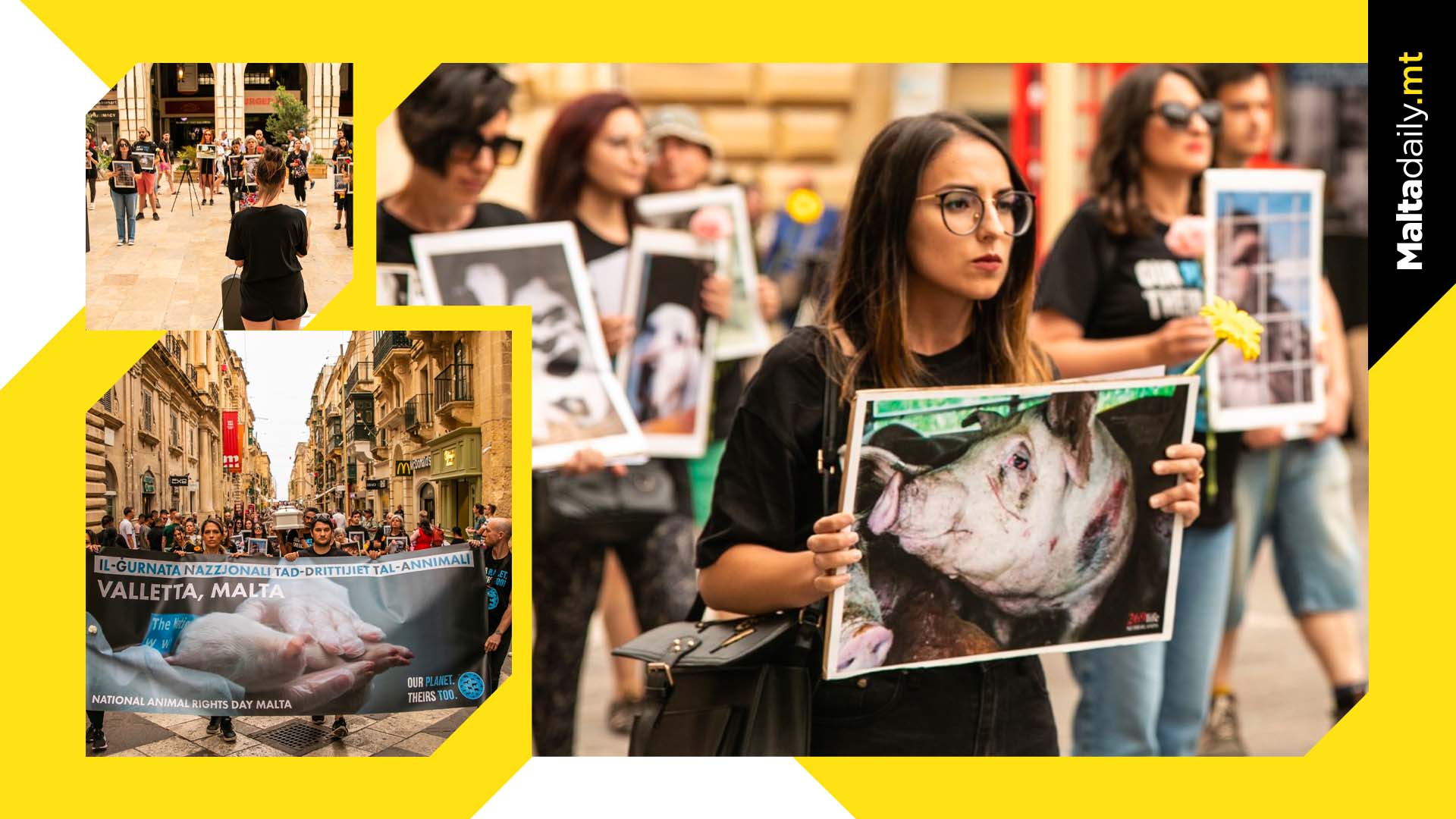 13th National Animal Rights Day celebrated in Valletta