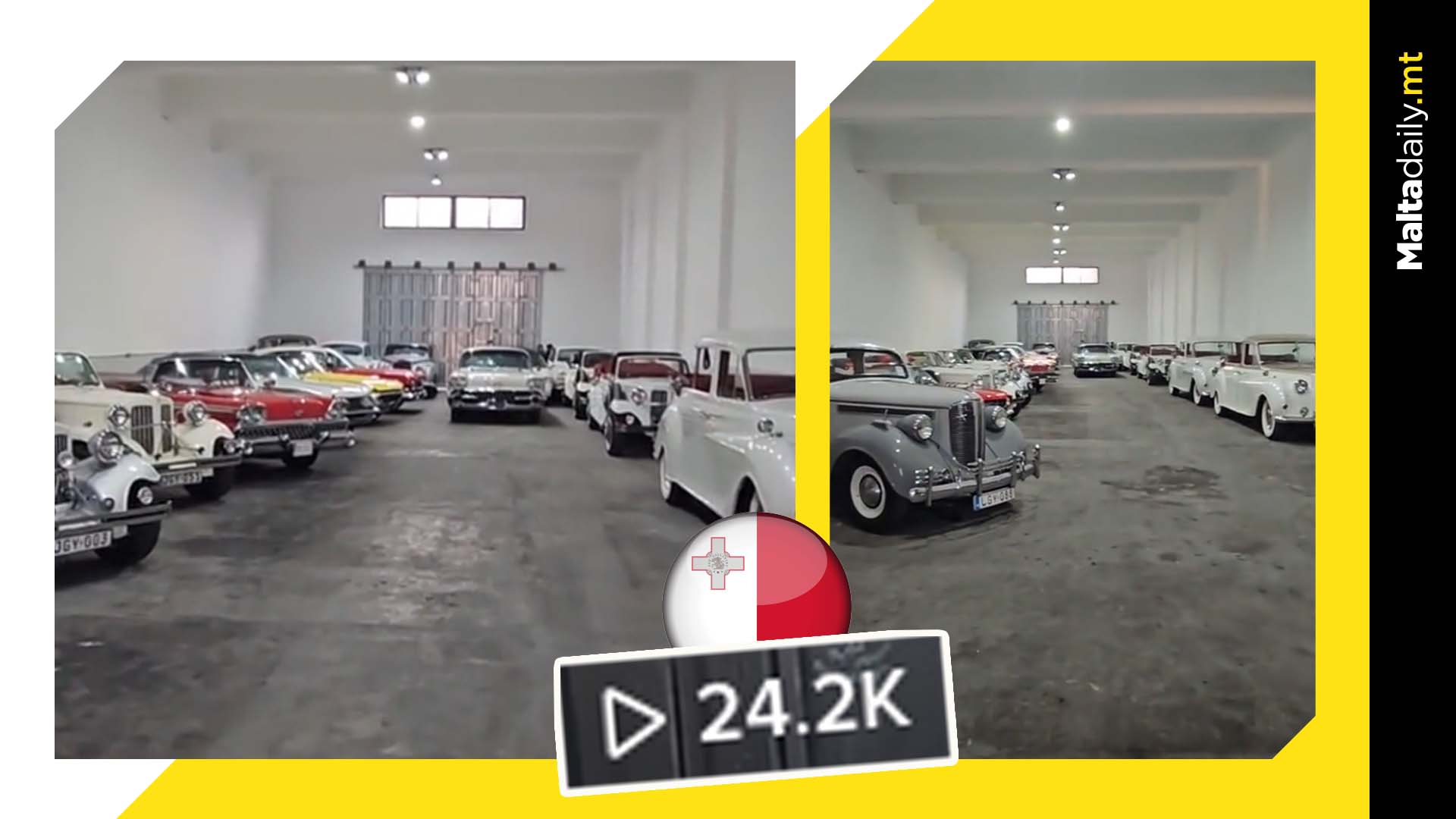 Maltese Goes TikTok Viral Showing Car Collection