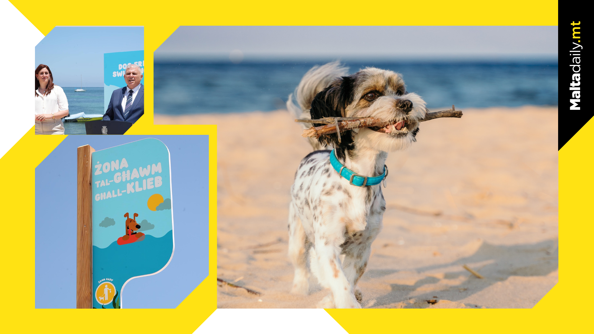 Malta and Gozo Welcome New Dog-Friendly Beaches, Increasing Total to 16