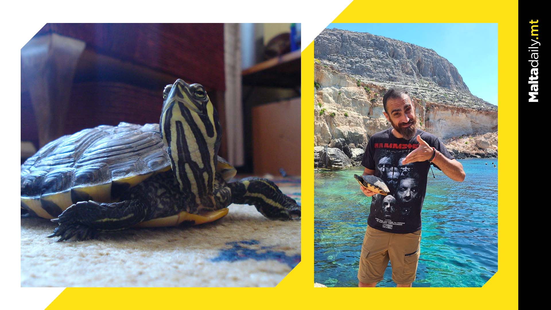 Pet Turtle Found At Għar Lapsi By Exterminator
