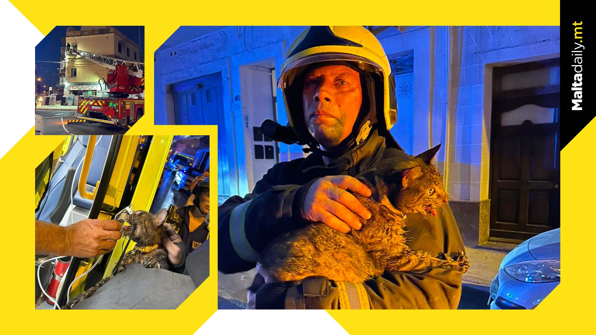 Cat Rescued From Burning Apartment in Ħamrun