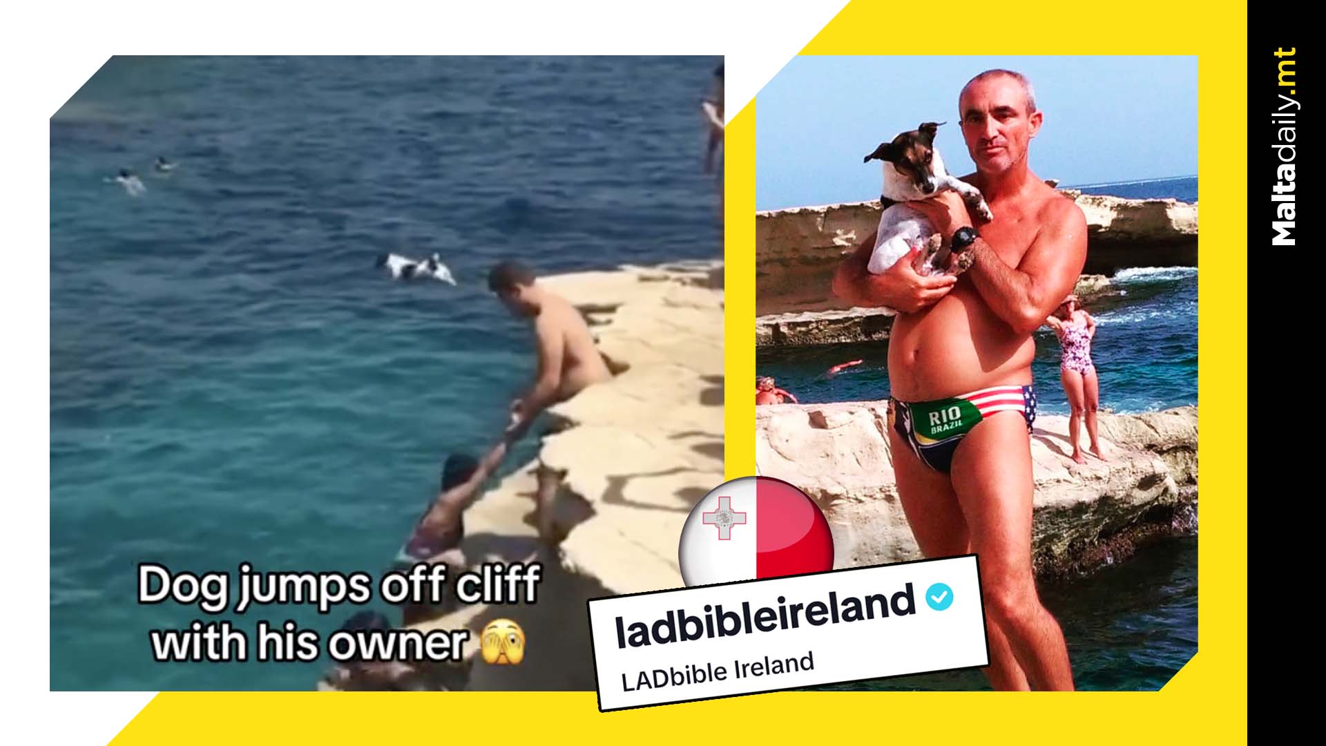 Viral Maltese Diving Dog Titti Returns To LADBible With 3.5M Views