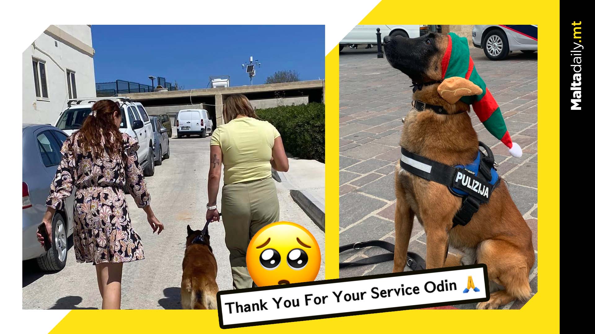 Malta Police Announce Retirement Of Canine Odin