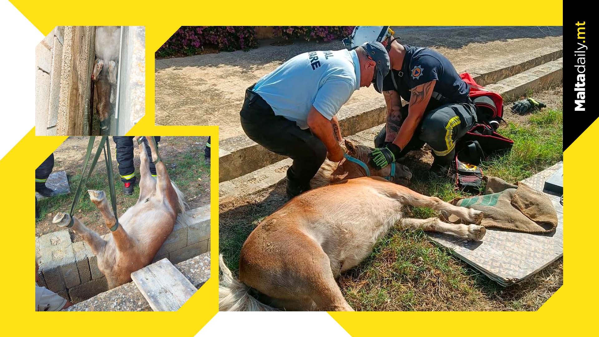 CPD Malta Rescue Pony Which Fell Into Water Canal