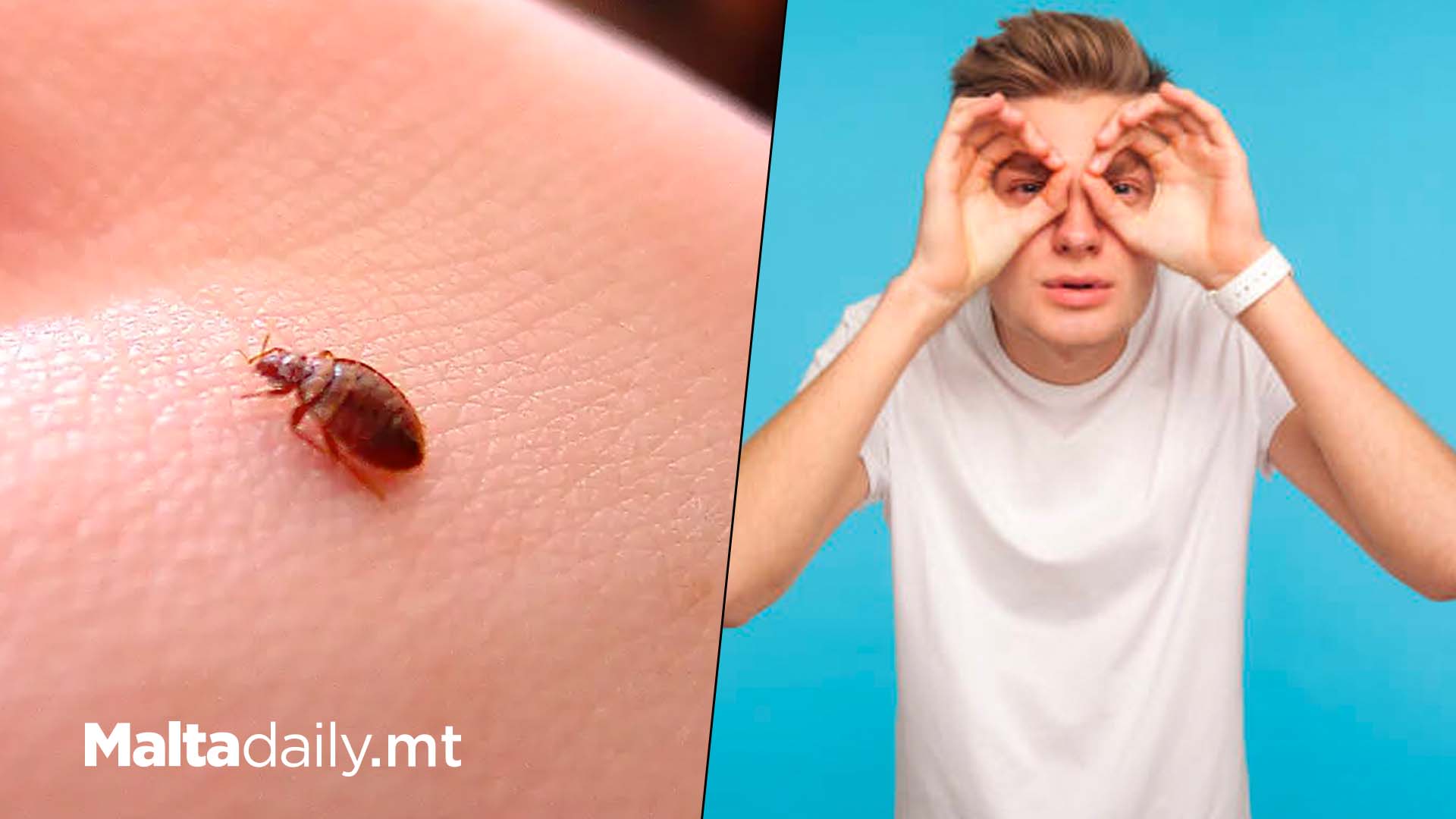 Ban Bed Bugs From Your Home With These Simple Tricks